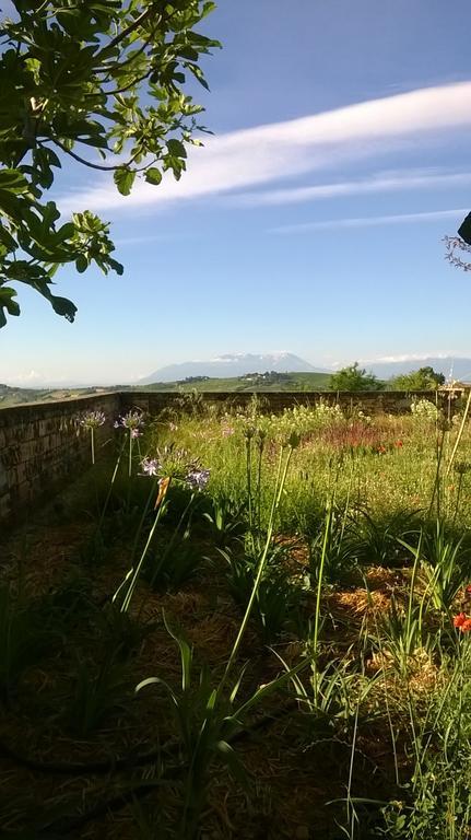 Willa Agriturismo Castelli In Aria Atri Zewnętrze zdjęcie