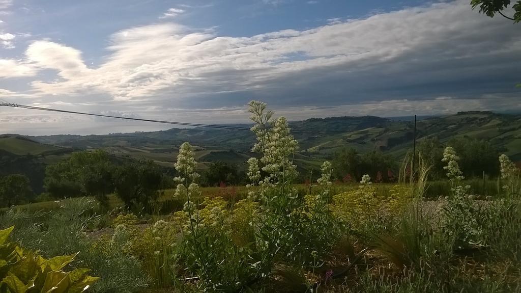 Willa Agriturismo Castelli In Aria Atri Zewnętrze zdjęcie